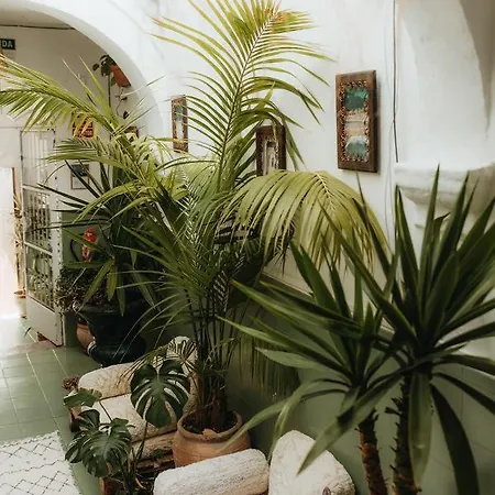 Africa Maison d'hôtes 2*